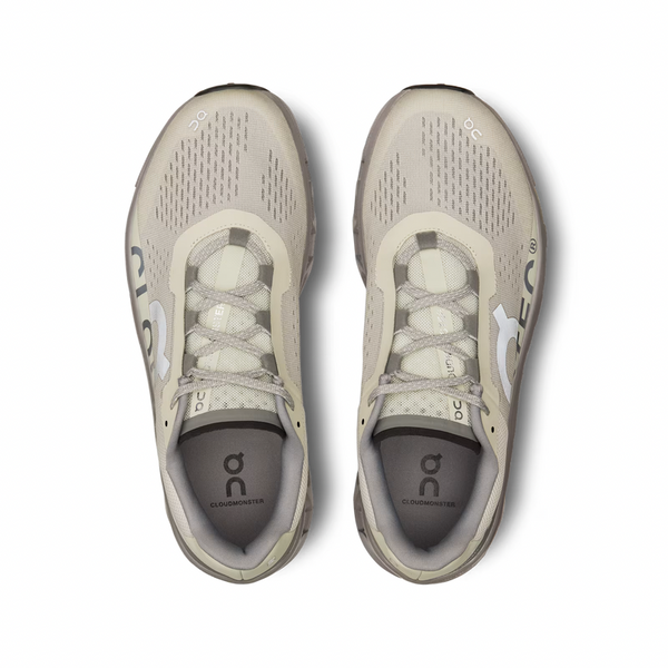 On Running Cloudmonster Ice/Alloy